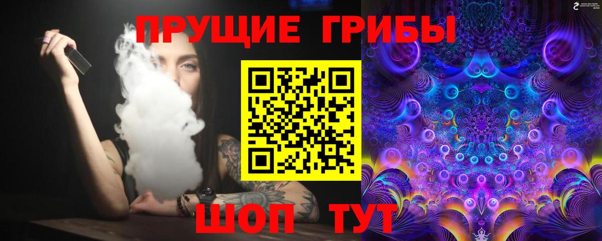 Псилоцибиновые грибы Cubensis Малгобек